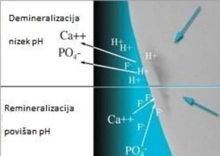 Proces remineralizacije in demineralizacije odvisen od pH